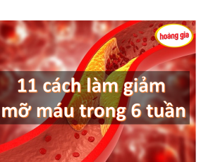 Bật mí 11 cách làm giảm mỡ máu trong 6 tuần 
