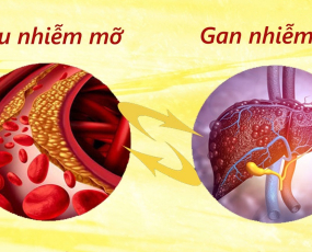 Ăn gì giảm mỡ máu và gan nhiễm mỡ?