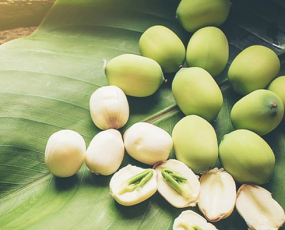 Giải đáp: ăn hạt sen có tác dụng gì?