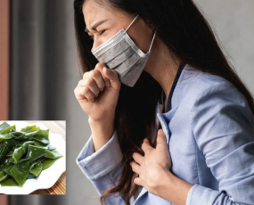 Ăn rong biển có ho không? Tôi có nên điều trị ho bằng rong biển?