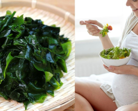 Mẹ bầu ăn rong biển được không?