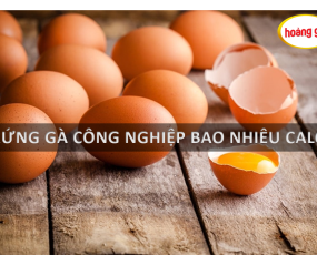 Trứng gà công nghiệp bao nhiêu calo bạn có biết?
