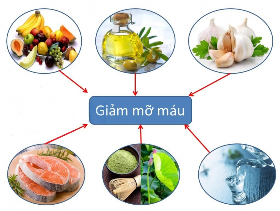 Máu nhiễm mỡ kiêng ăn gì? Ăn gì để giảm mỡ máu?